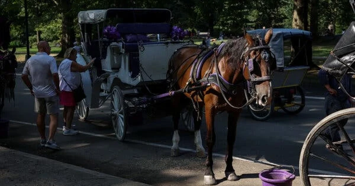 Menin backs Central Park horse carriage ban after tourist’s death