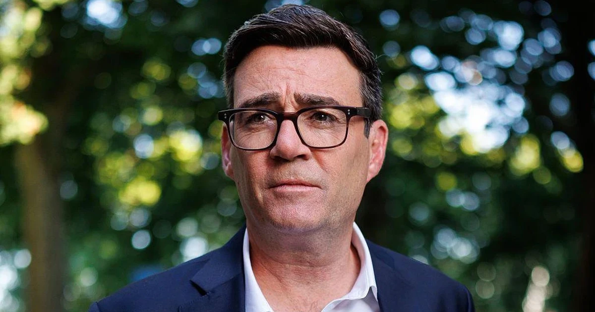 Burnham calls for MPs' security review after Widdecombe killing
