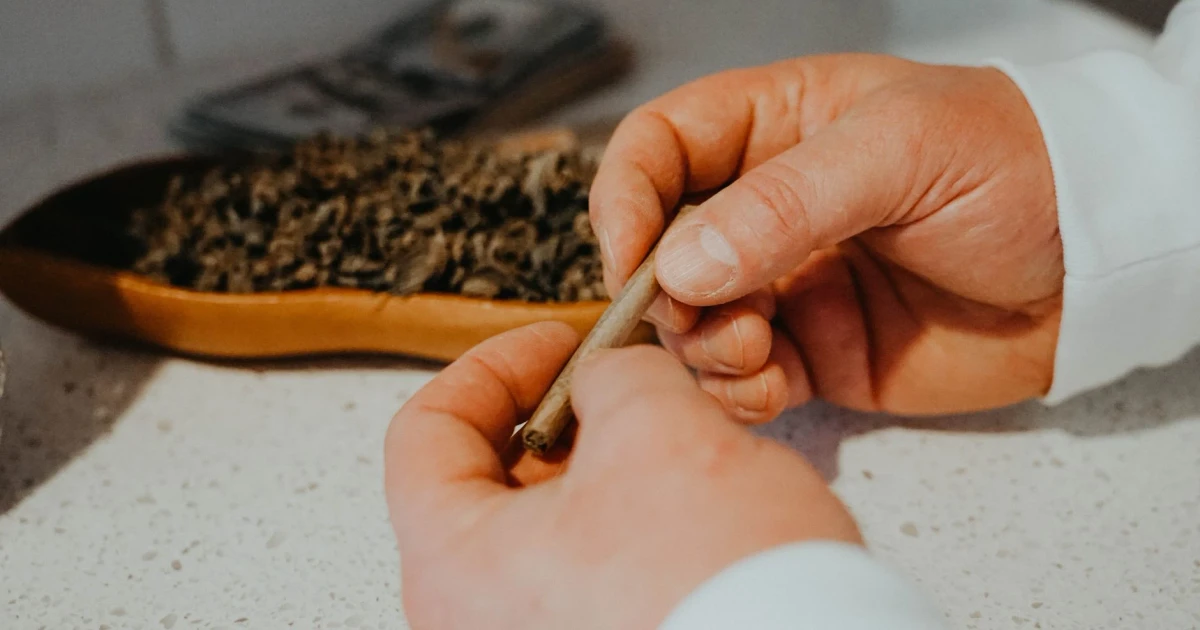 What I wish I knew at 13 about cannabis and long-term risks