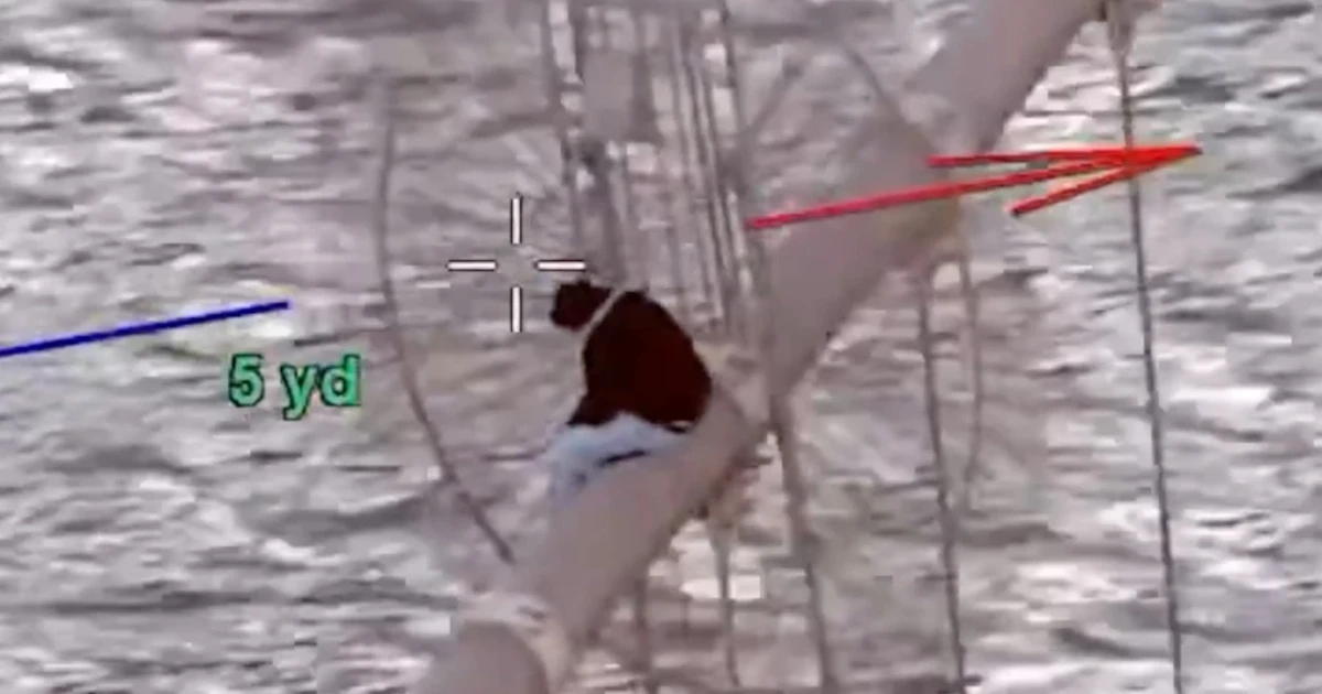 NYPD officers rescue woman from Brooklyn Bridge after hourlong standoff