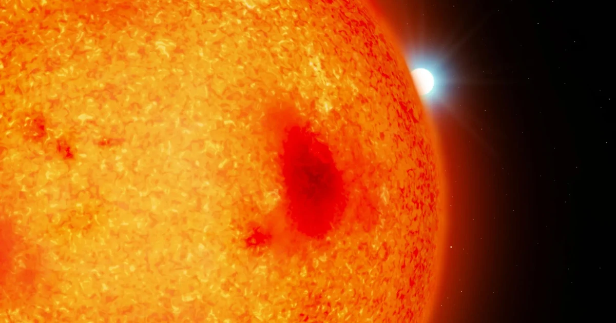 Hubble reveals four hidden white dwarfs in nearby binary systems
