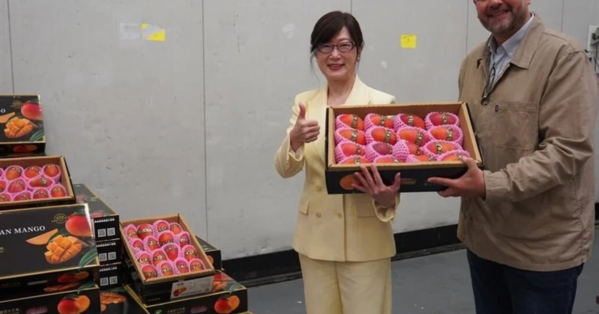 Taiwan sends premium mangoes to Europe in export test
