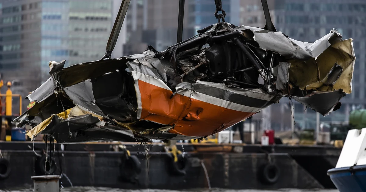 Bird strike likely caused deadly Hudson River helicopter crash