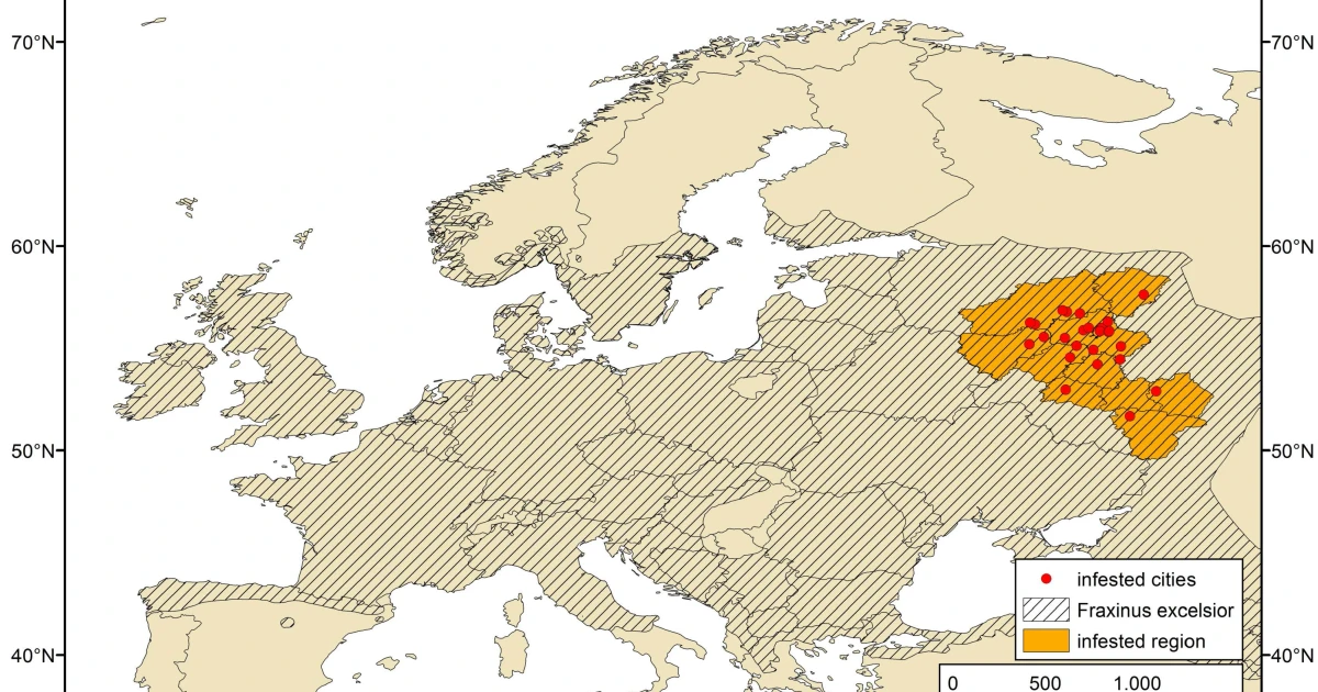 Emerald ash borer detected in the EU for first time