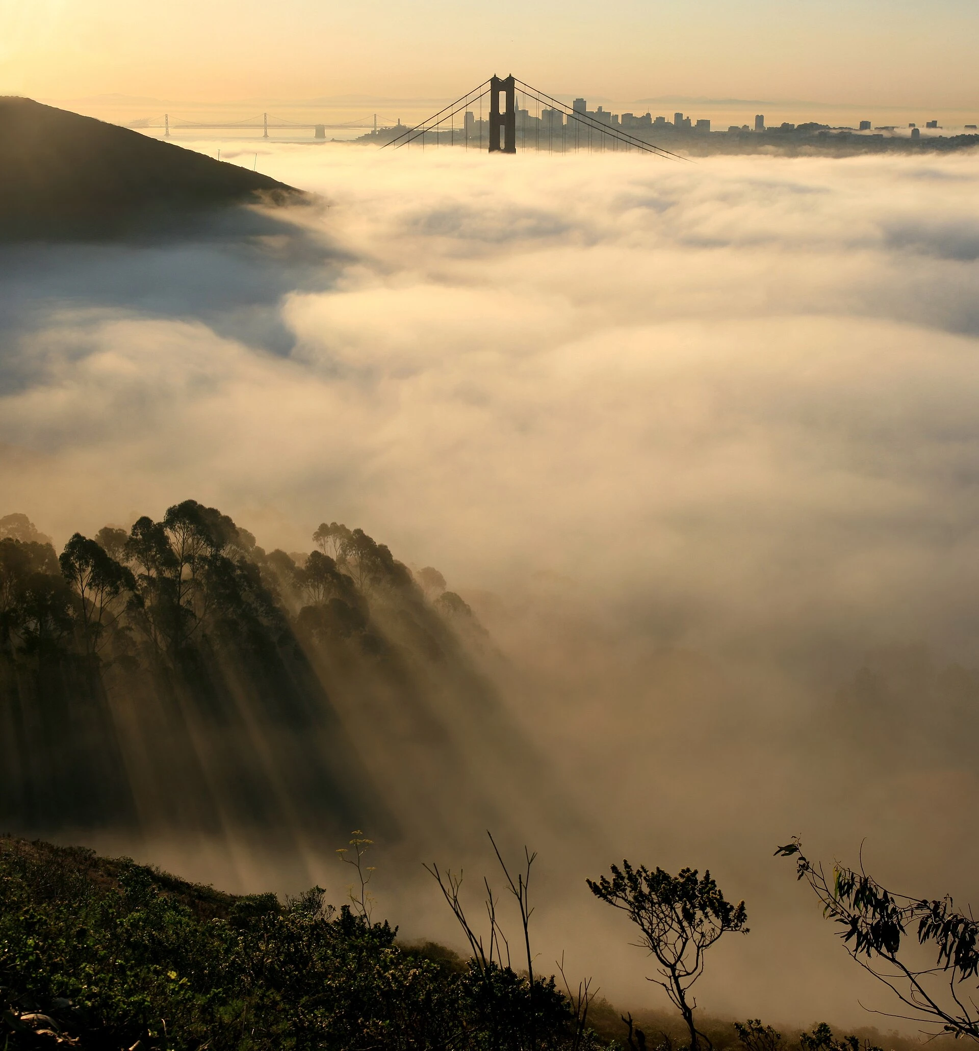 San Francisco — Wikimedia Commons