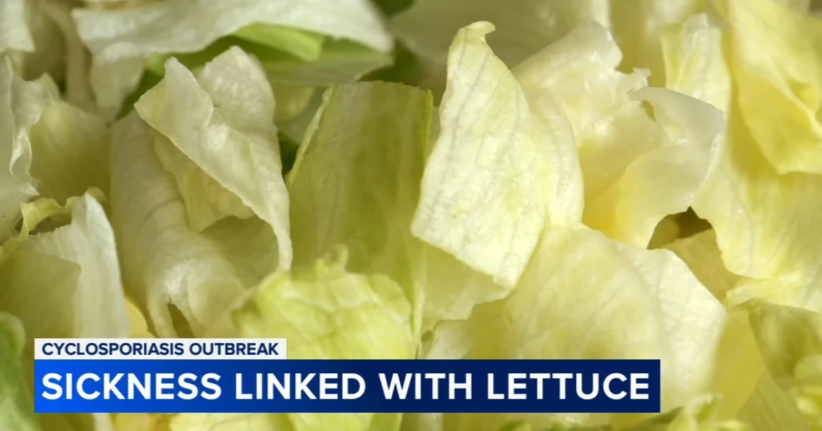 CDC links Taco Bell cyclospora outbreak to shredded lettuce