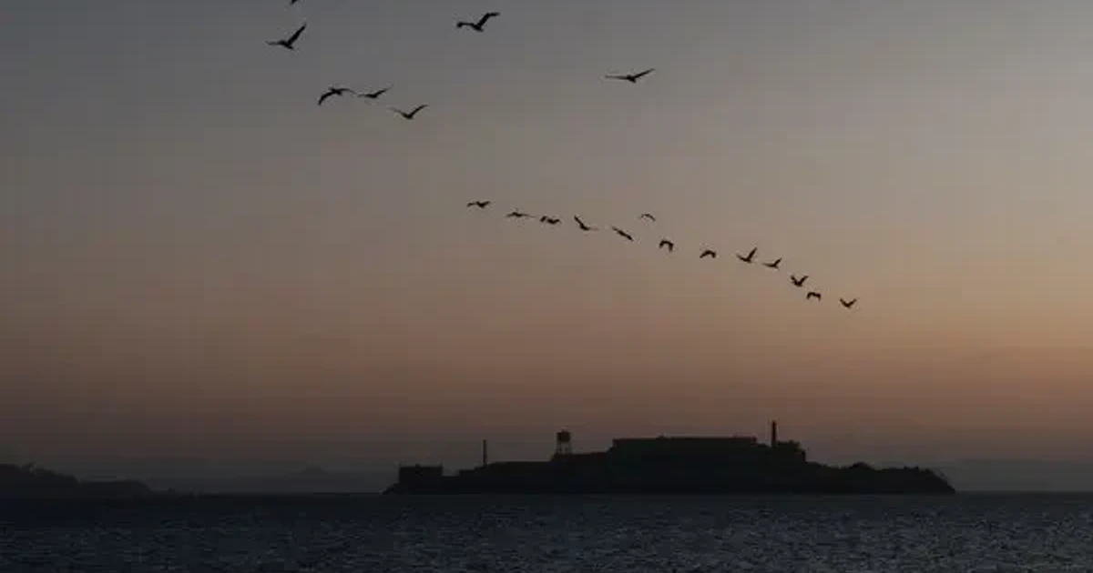Wave capsizes memorial boat near Alcatraz, leaving two missing
