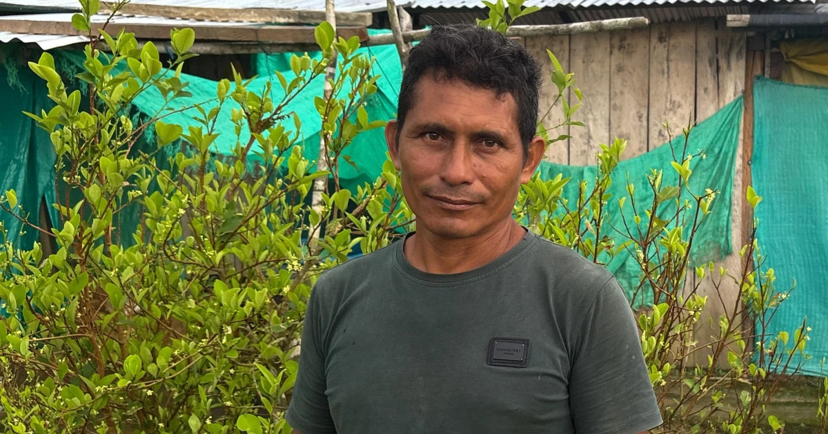 Colombian coca farmers seek support to switch to legal crops