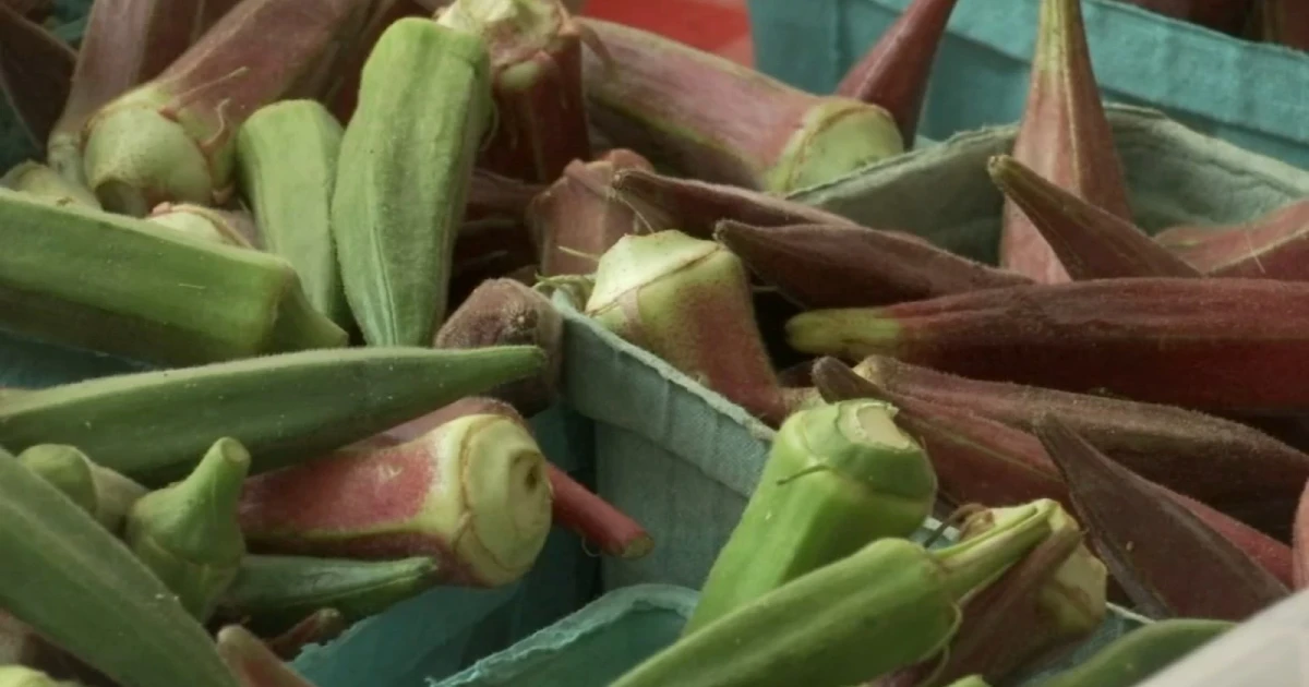 North Carolina farmers see produce sales rise amid cyclosporiasis outbreak