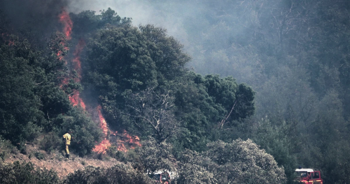 Wildfire forces evacuations along France’s Mediterranean coast near Frejus