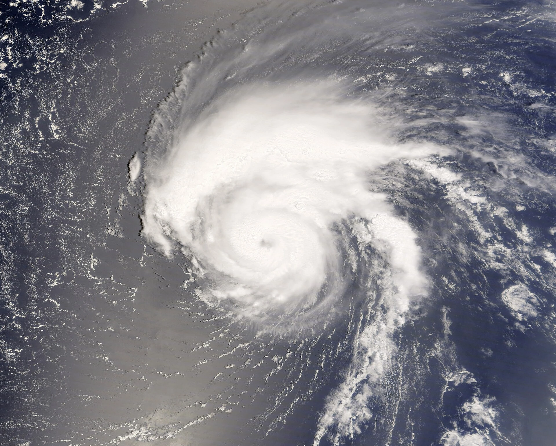 Tropical Storm Bertha — Wikimedia Commons