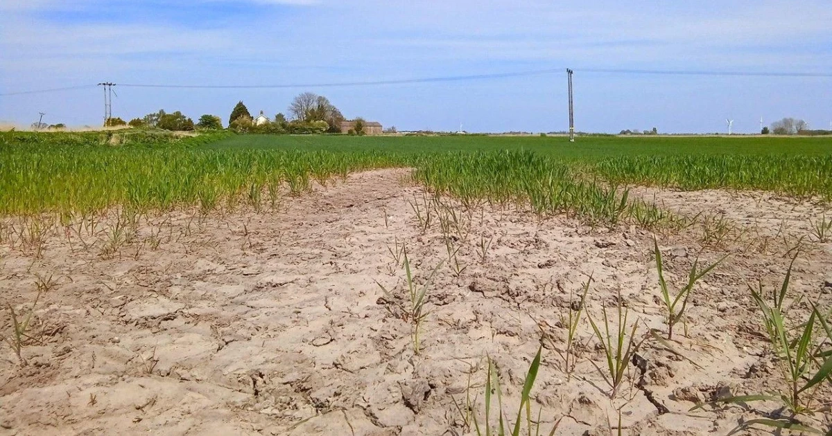 England faces longest dry spell in over 30 years, drought fears rise