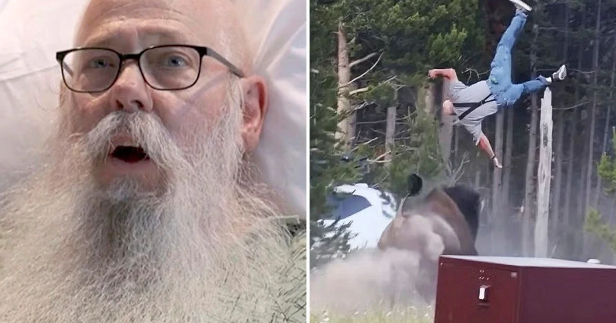 Yellowstone bison tosses man eight feet, breaking femur in four places