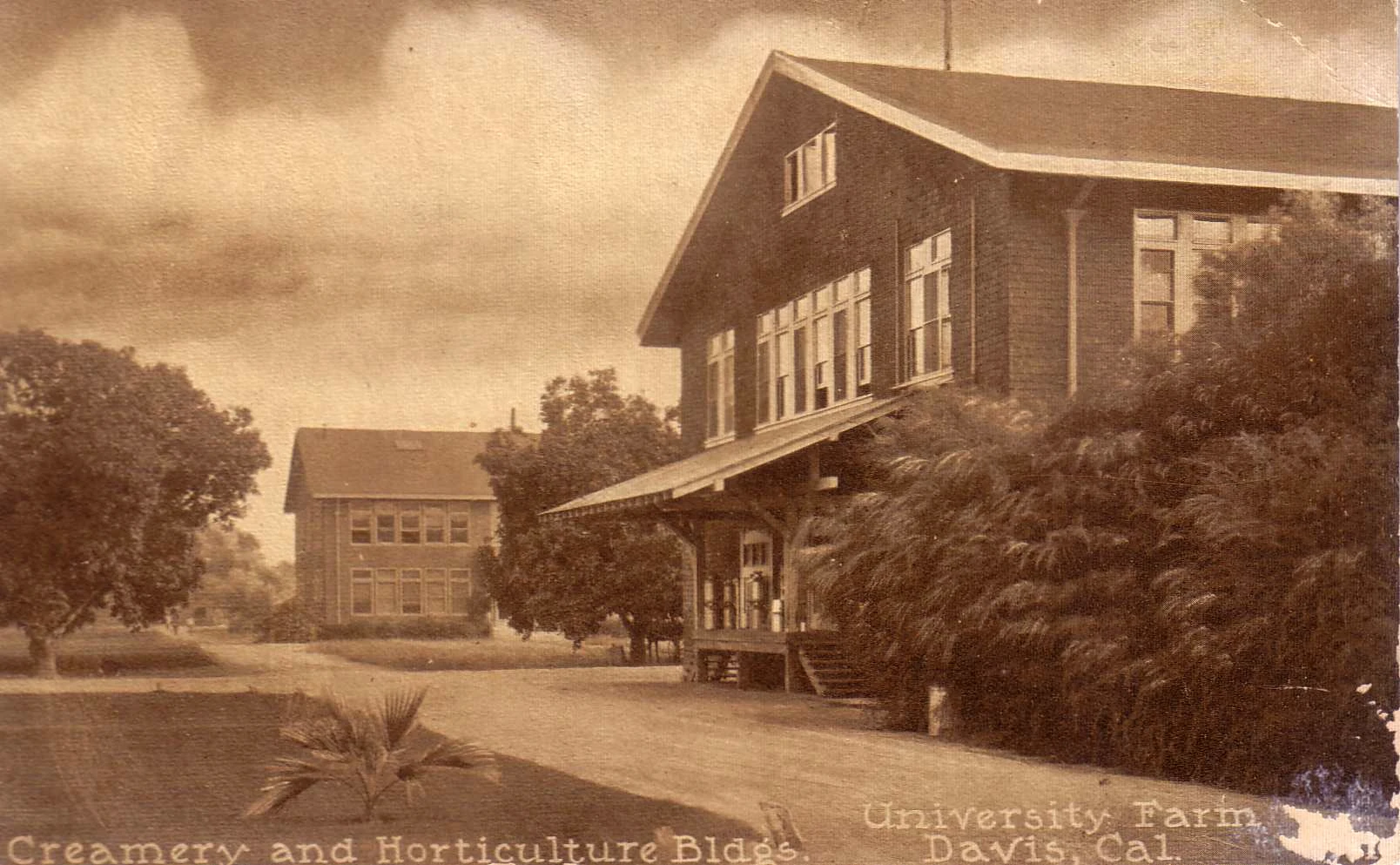UC Davis — Wikimedia Commons