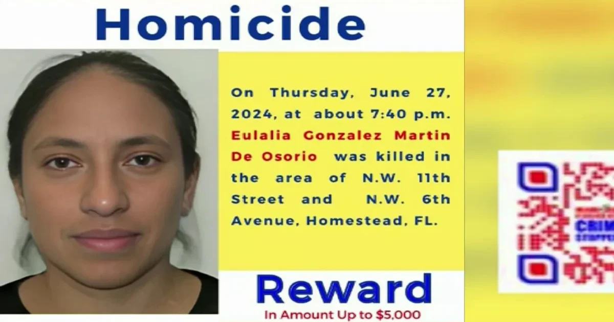 Florida police open fire on murder suspect after wild chase