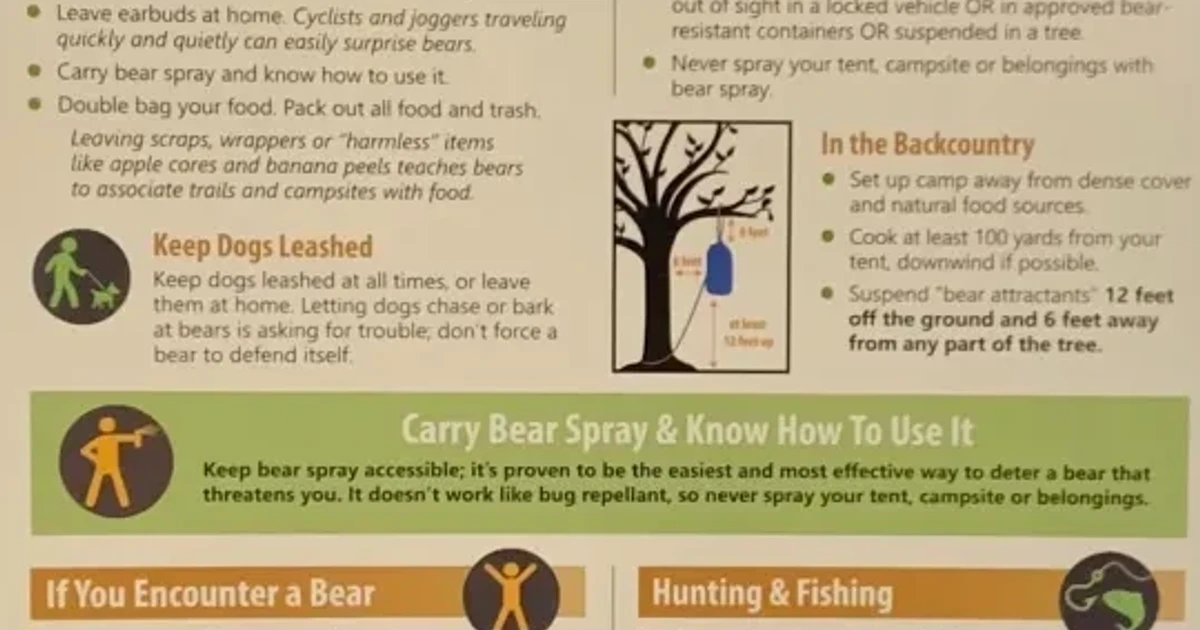 Tennessee warns shoppers after man gets too close to black bear