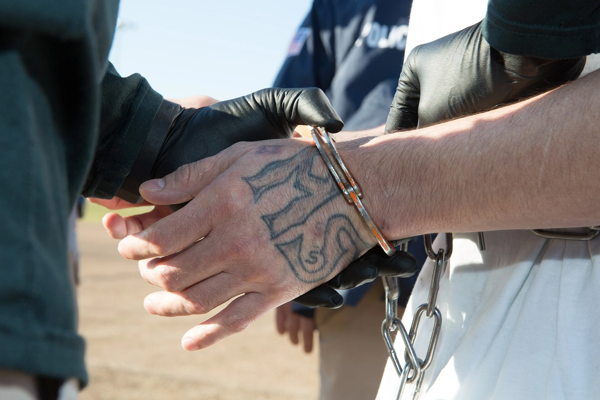 U.S. Immigration and Customs Enforcement — Wikimedia Commons