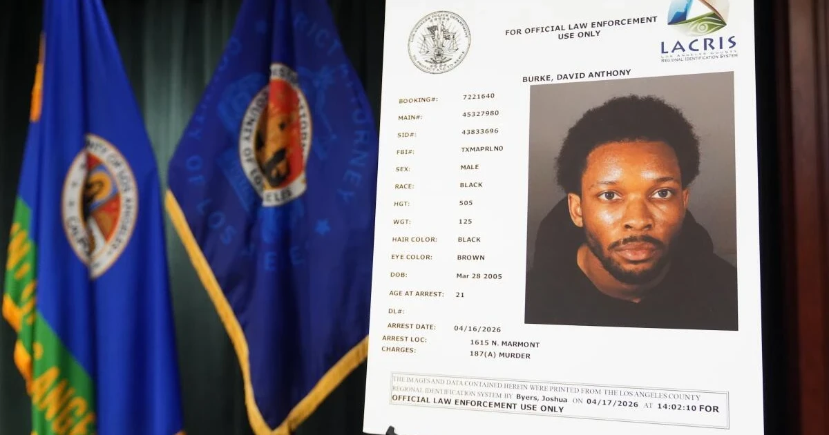 Judge weighs murder trial for singer D4vd after grisly autopsy testimony