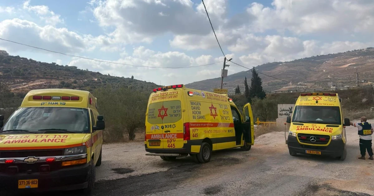Five killed in West Bank shooting near Tel, AP reports