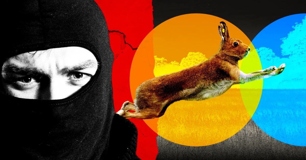 Farmers warn of violent hare coursing as police log 9,000 reports
