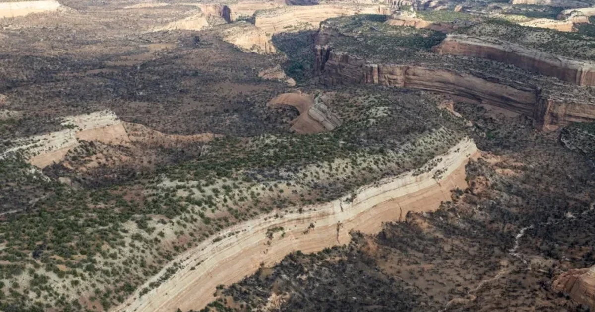 Fourth firefighter dies from Colorado wildfire burnover, Interior says