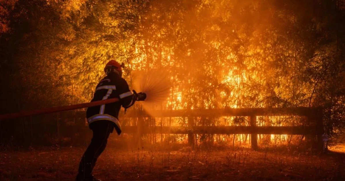 Bordeaux faces wildfire threat as evacuations continue nearby