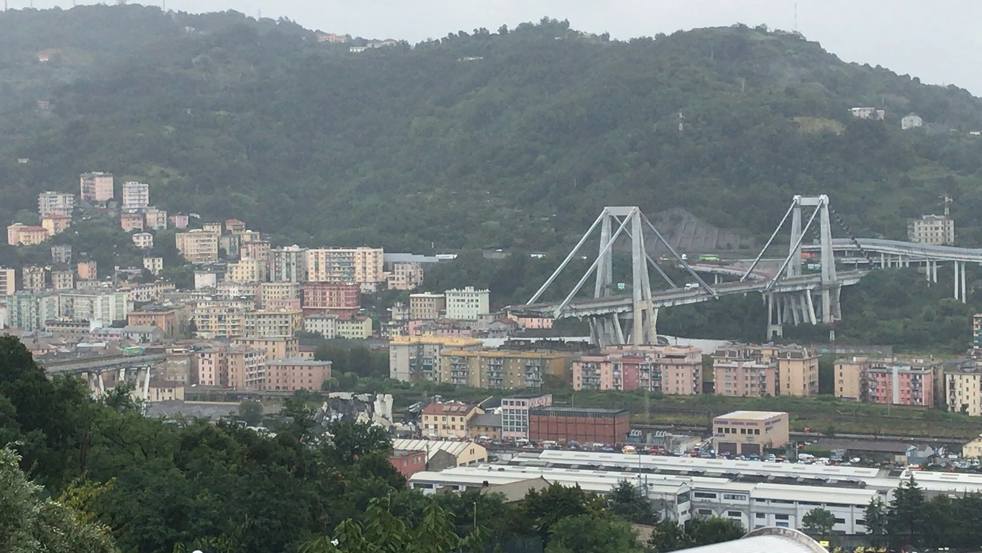 Morandi Bridge — Wikimedia Commons