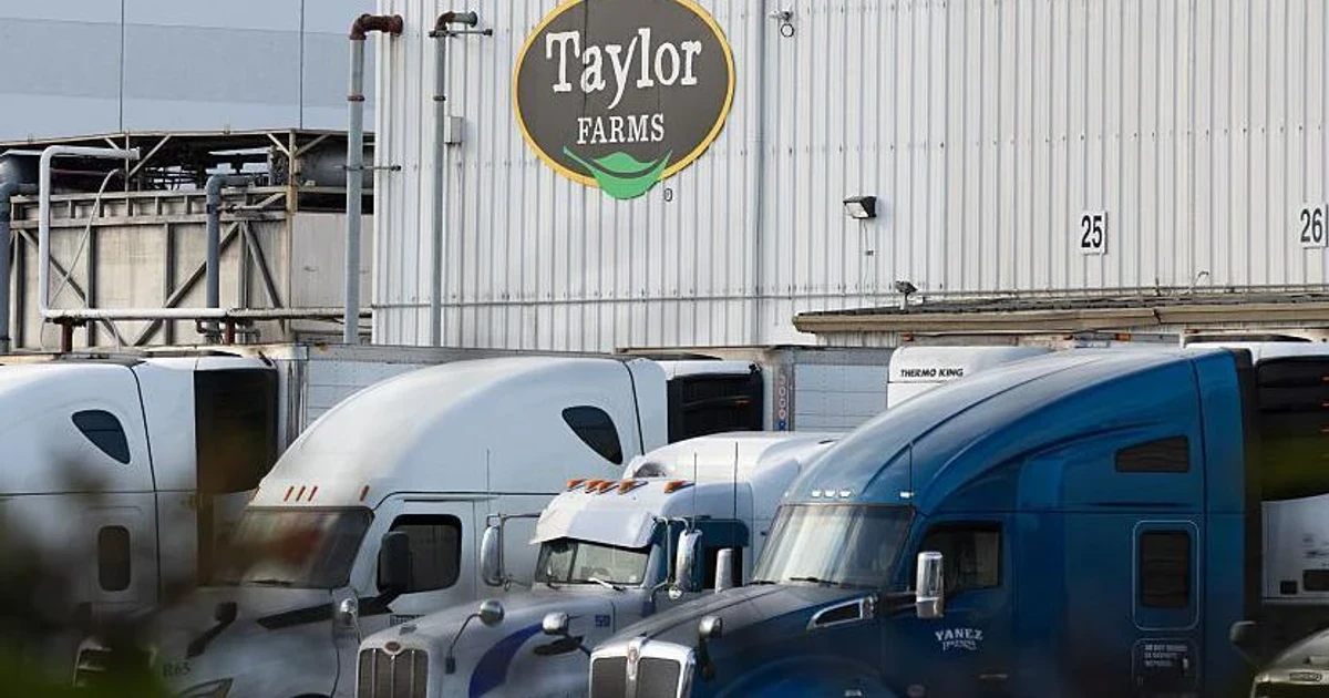 FDA says Cyclospora source in lettuce outbreak still unknown