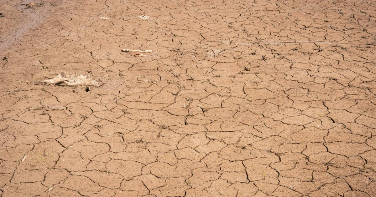 UK drought spreads as England faces driest July in decades