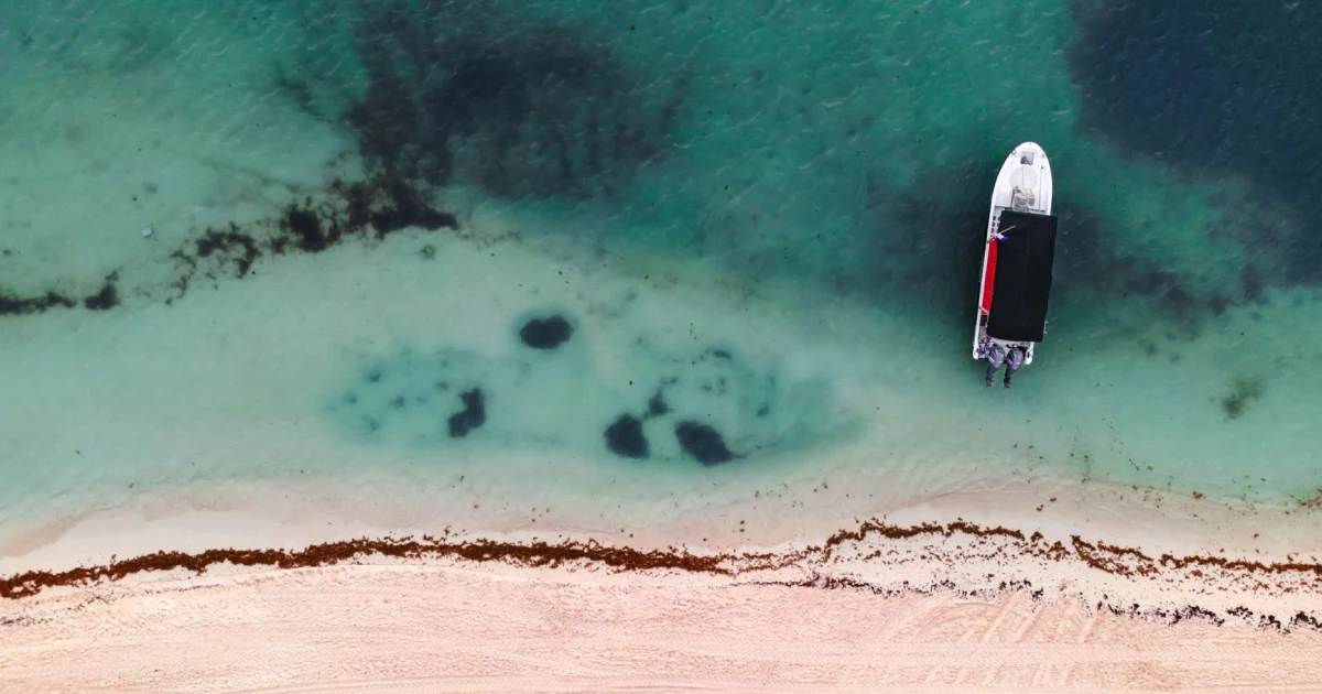 Record sargassum blankets Mexico’s Caribbean coast, threatening tourism