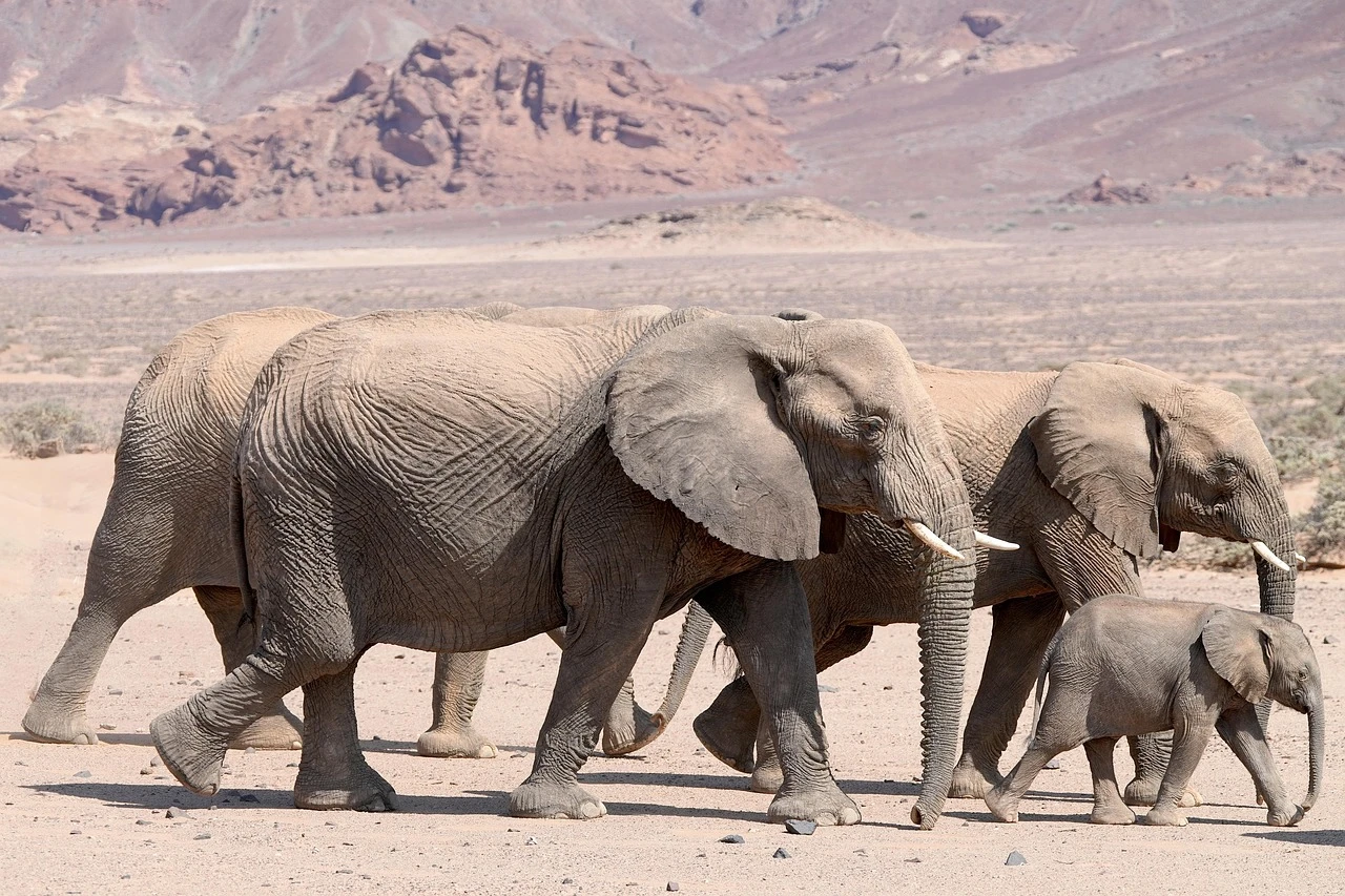 Related stock photo