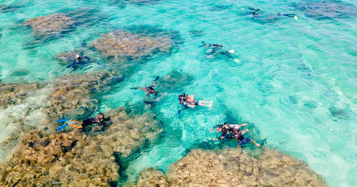 Connecticut man recounts shark bite during Bahamas snorkeling trip
