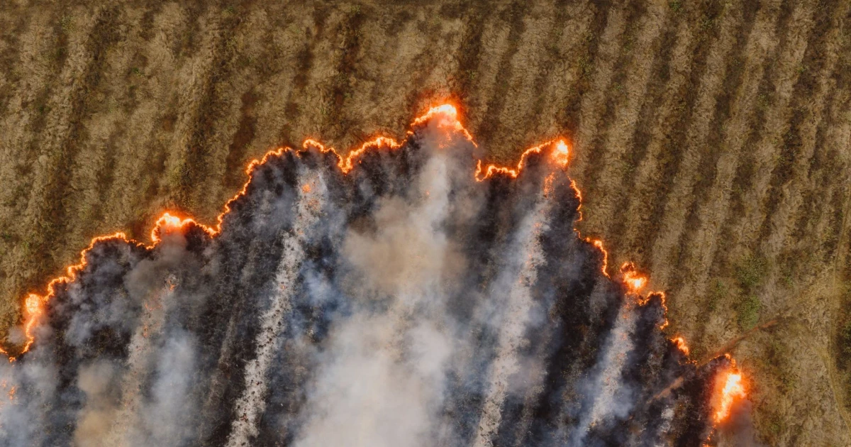 Wildfire west of Athens forces partial evacuation of suburb
