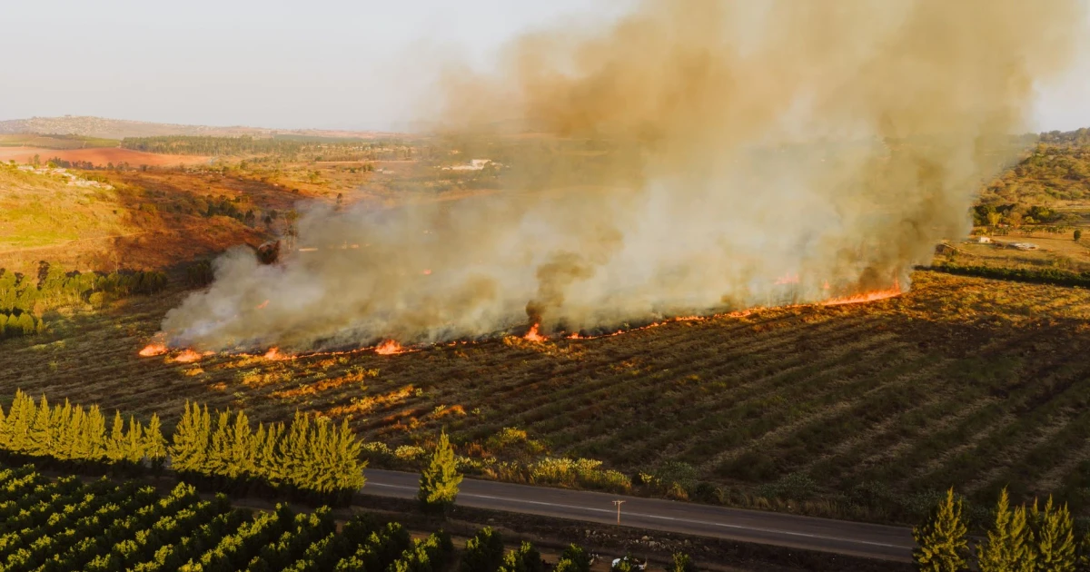 Greece wildfires rage near Athens as western Europe threat eases