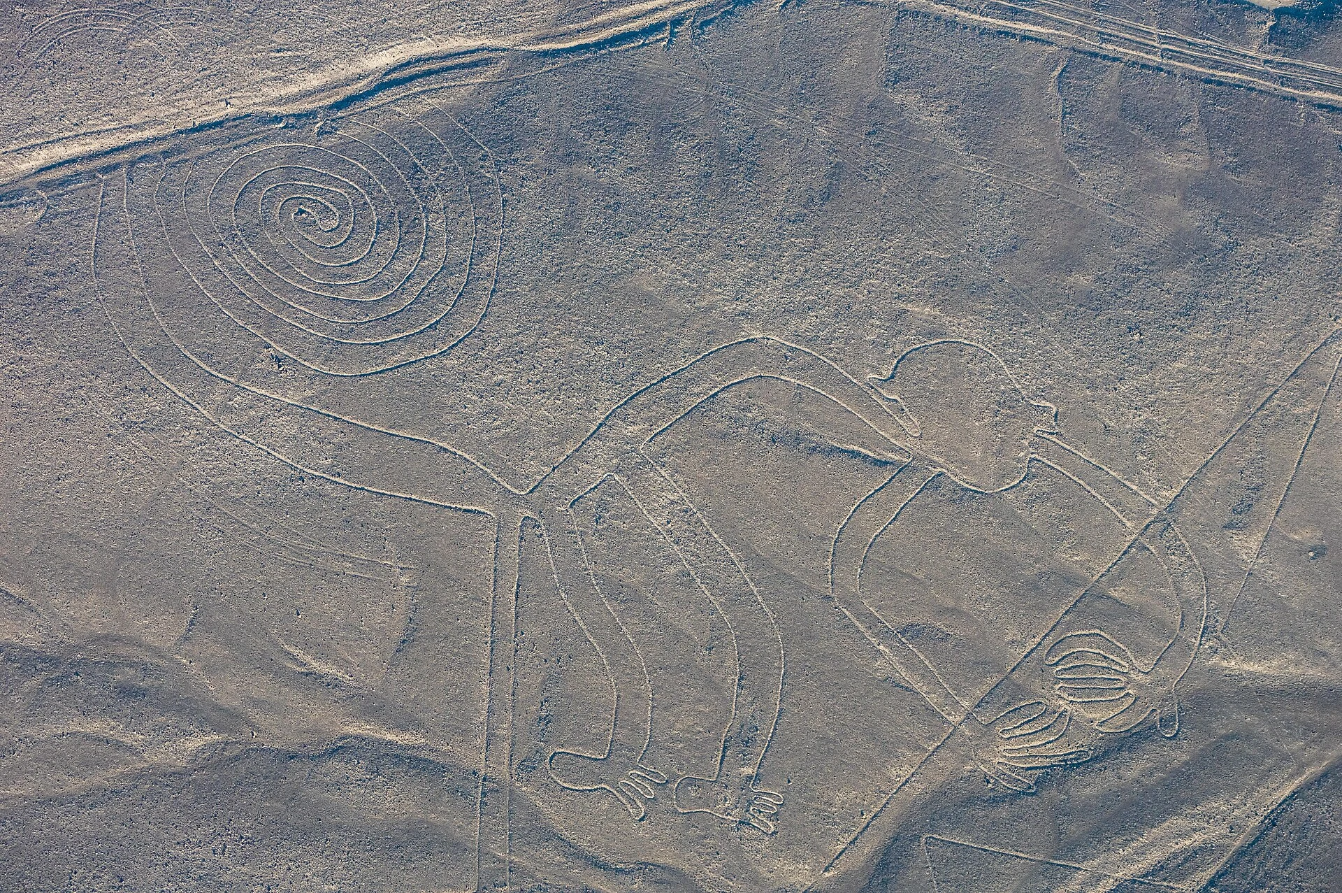 Nazca Lines — Wikimedia Commons