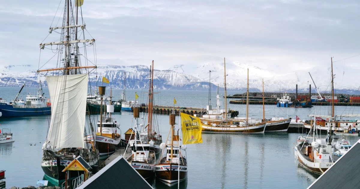 Iceland seizes Paul Watson Foundation ship, detains crew after whaling clash