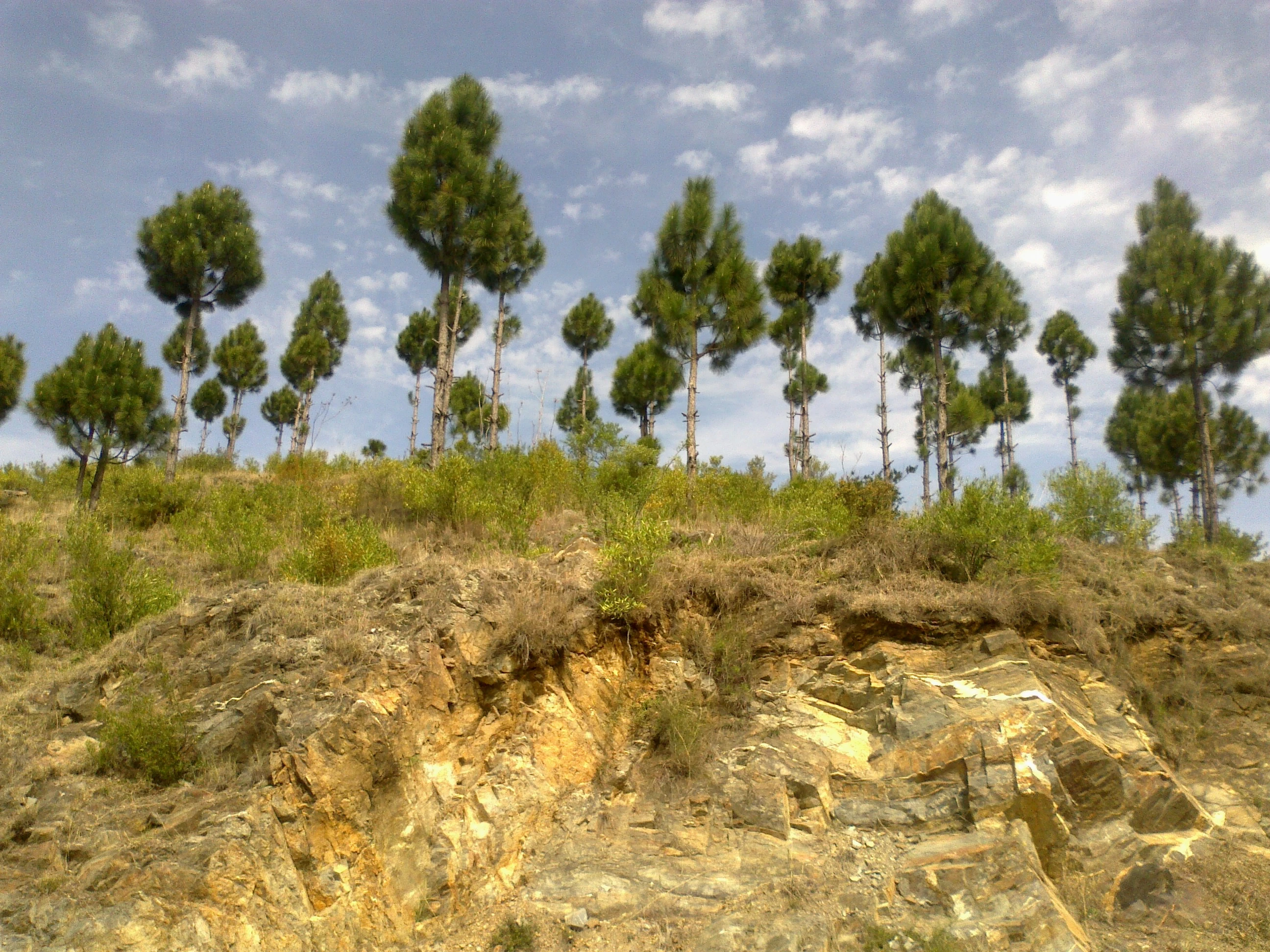 Related photo