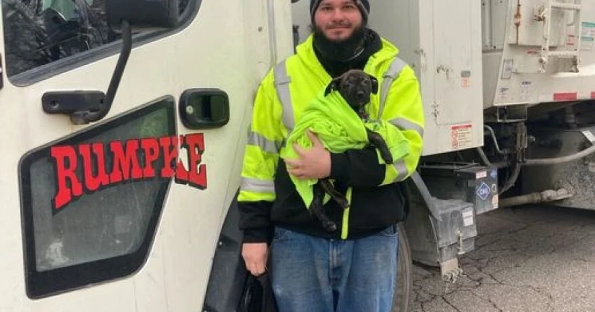 Garbage truck rescue leads puppy to forever home
