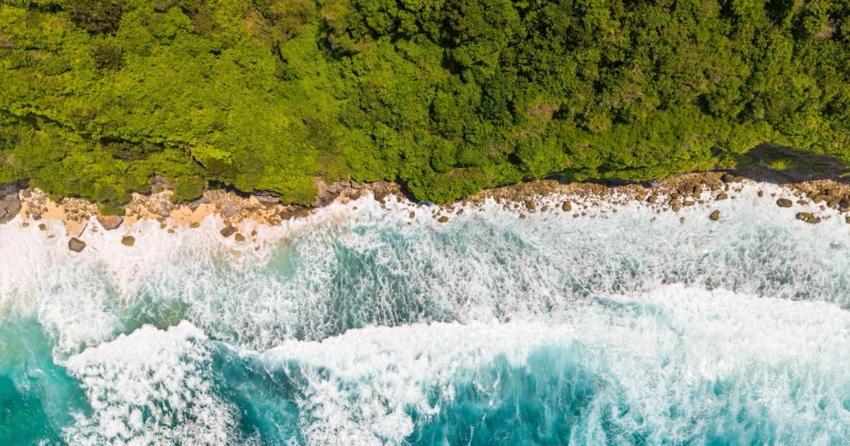 Trump opens Pacific marine monument waters to commercial fishing