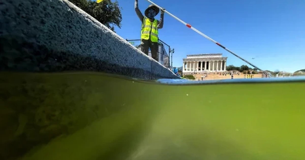 DOJ drops remaining Reflecting Pool charges despite Trump anger