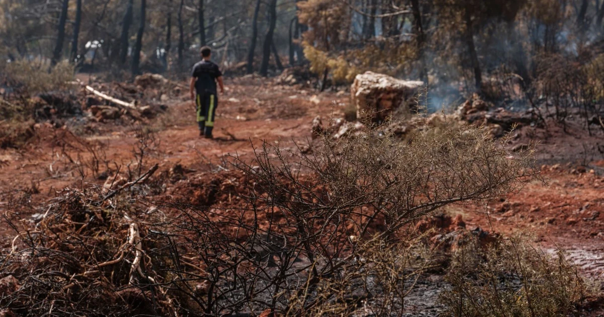 Greece wildfire danger eases, residents begin returning to damaged homes
