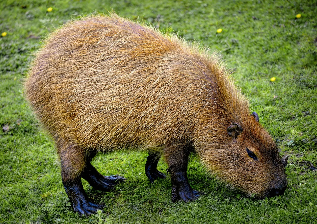 Related stock photo