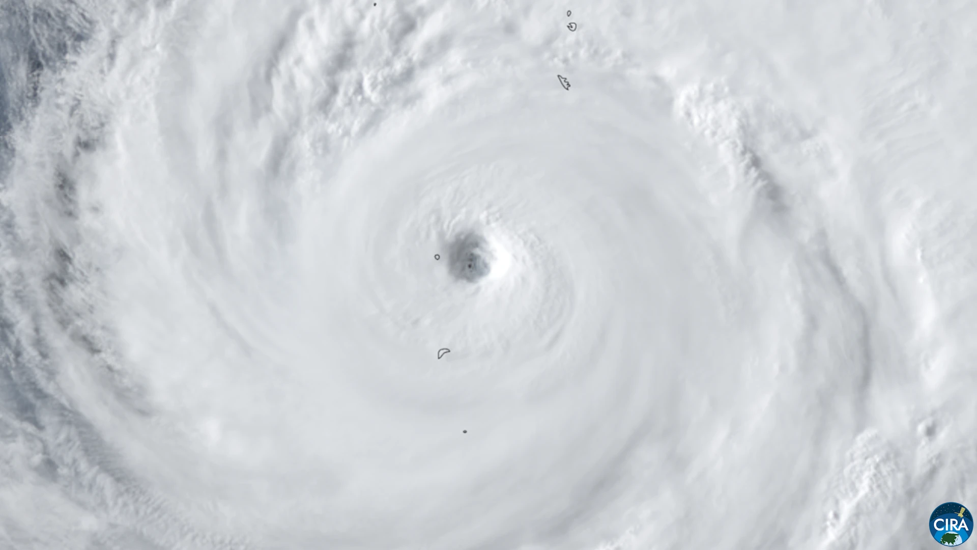 Typhoon Dolphin — Wikimedia Commons