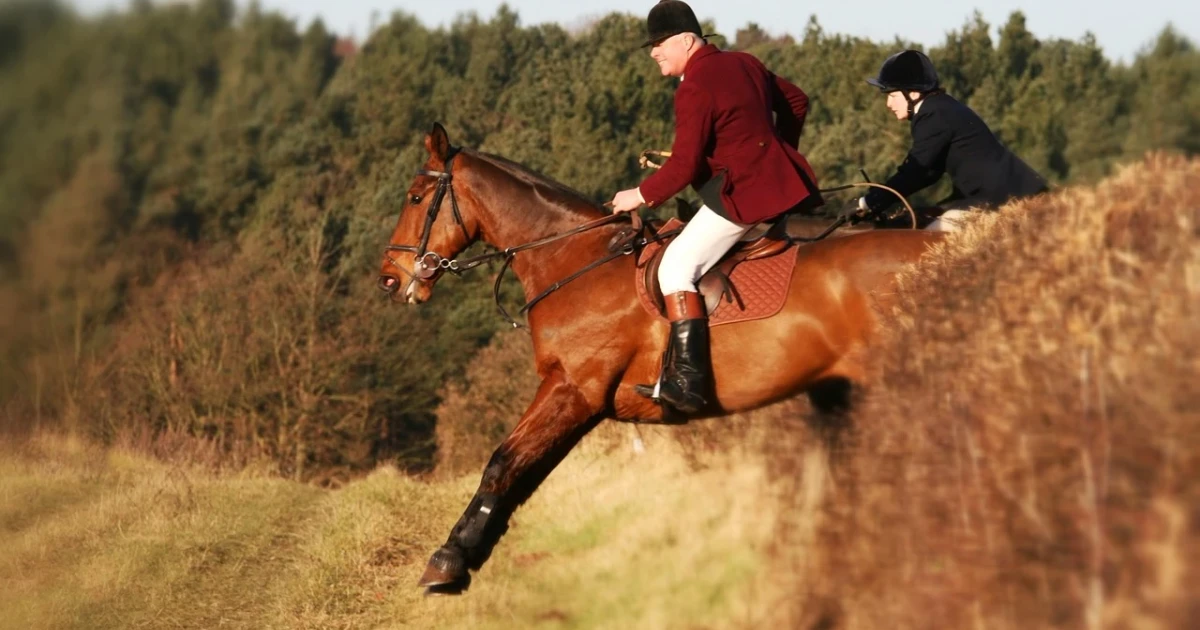 Horse Whisperer Ray Hunt dies at 91, leaving lasting legacy
