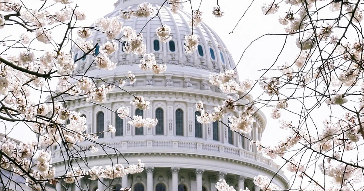 Senate speeds toward recess, advances Blanche and Russia sanctions