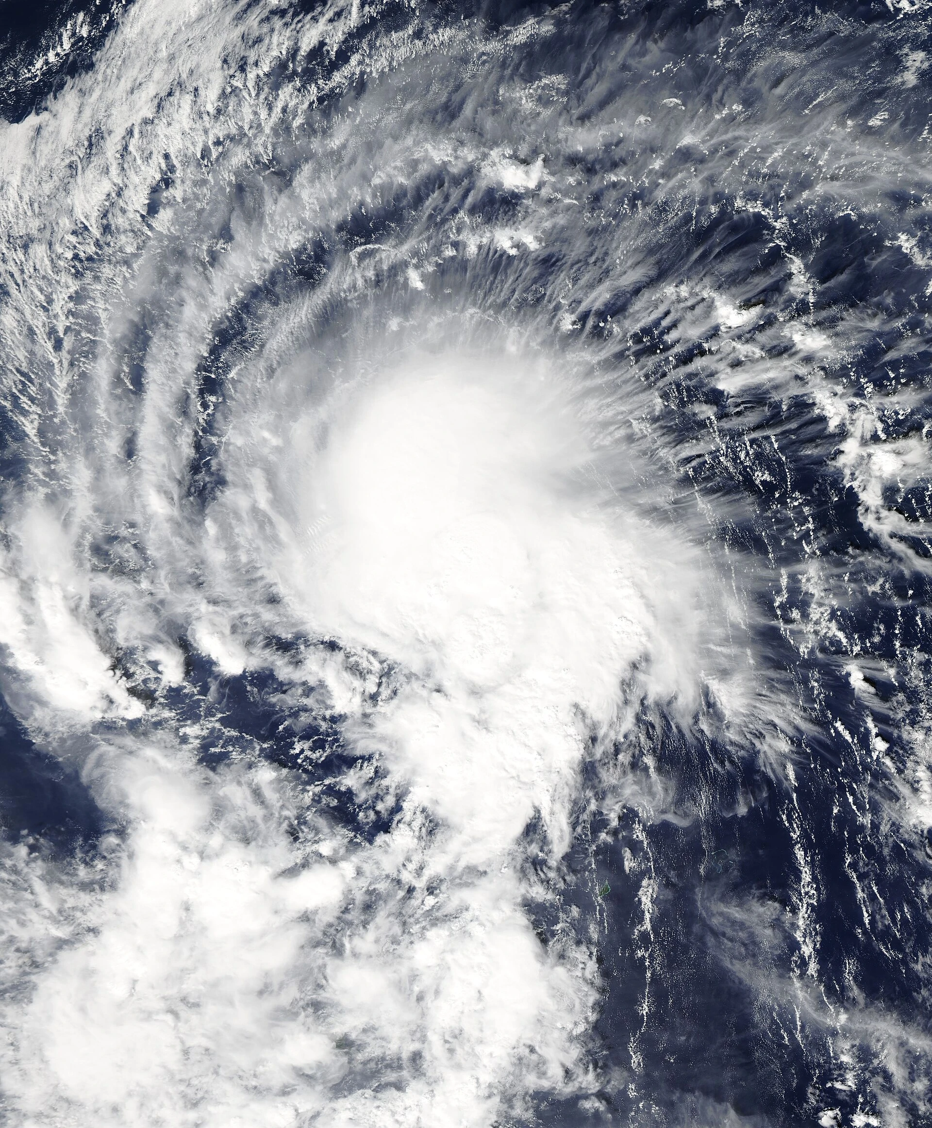 Typhoon Dolphin — Wikimedia Commons