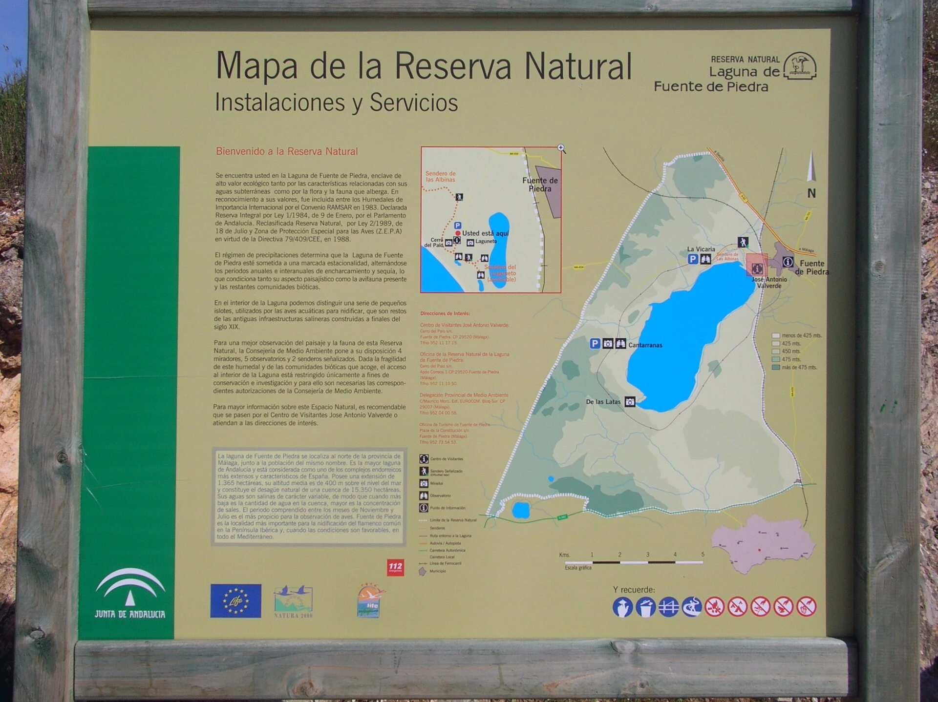 Fuente de Piedra Natural Reserve — Wikimedia Commons