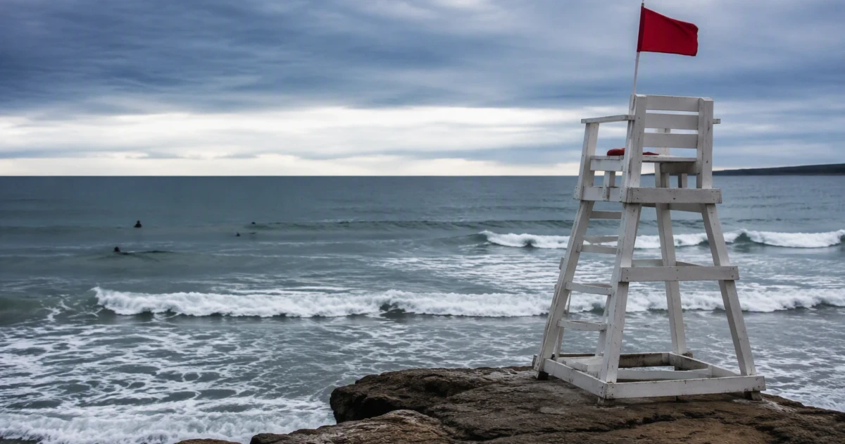 Lifeguard says shark dragged him underwater off Maine beach