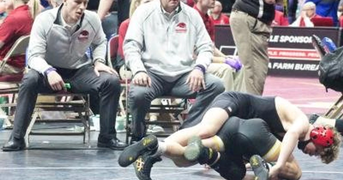 Petersen becomes third Warhawk wrestler to medal