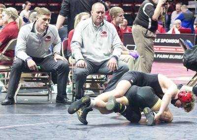 Petersen becomes third Warhawk wrestler to medal